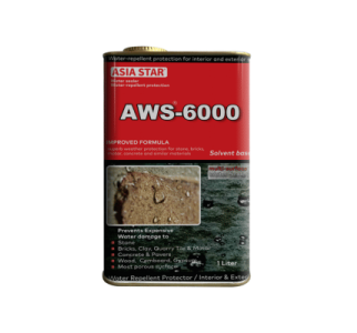 Mockup_AWS6000