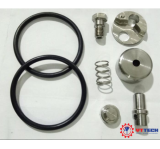 Bộ sửa chữa kiểm tra van Check Valve Repair Kit